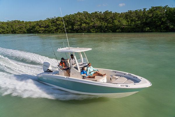 Boston Whaler 250 Dauntless фото 1.3