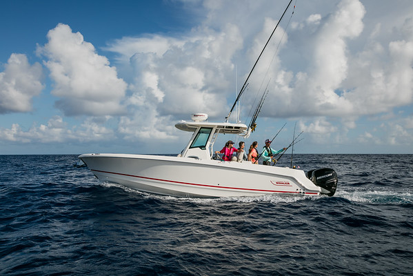 Boston Whaler 280 Outrage фото 1.3