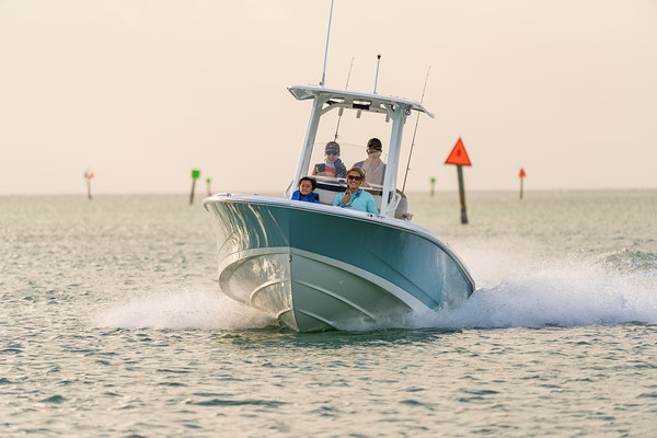 Boston Whaler 250 Dauntless фото 1.1