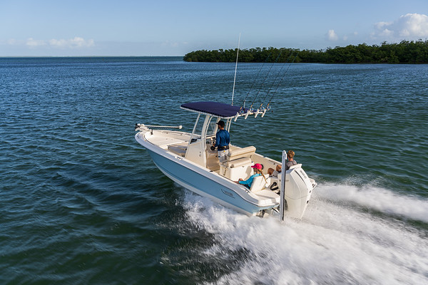 Boston Whaler 220 Dauntless фото 1.7