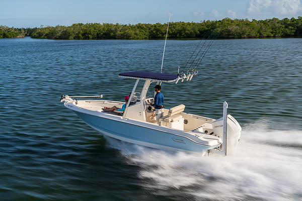 Boston Whaler 220 Dauntless фото 1.6