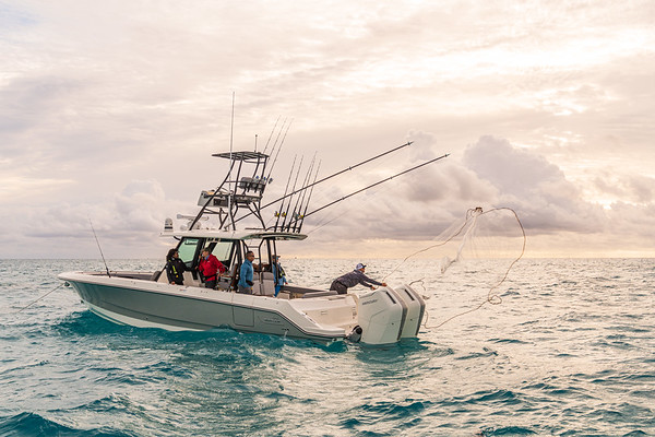 Boston Whaler 360 Outrage фото 1.5