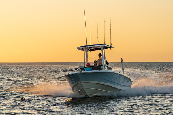 Boston Whaler 220 Dauntless фото 1.12