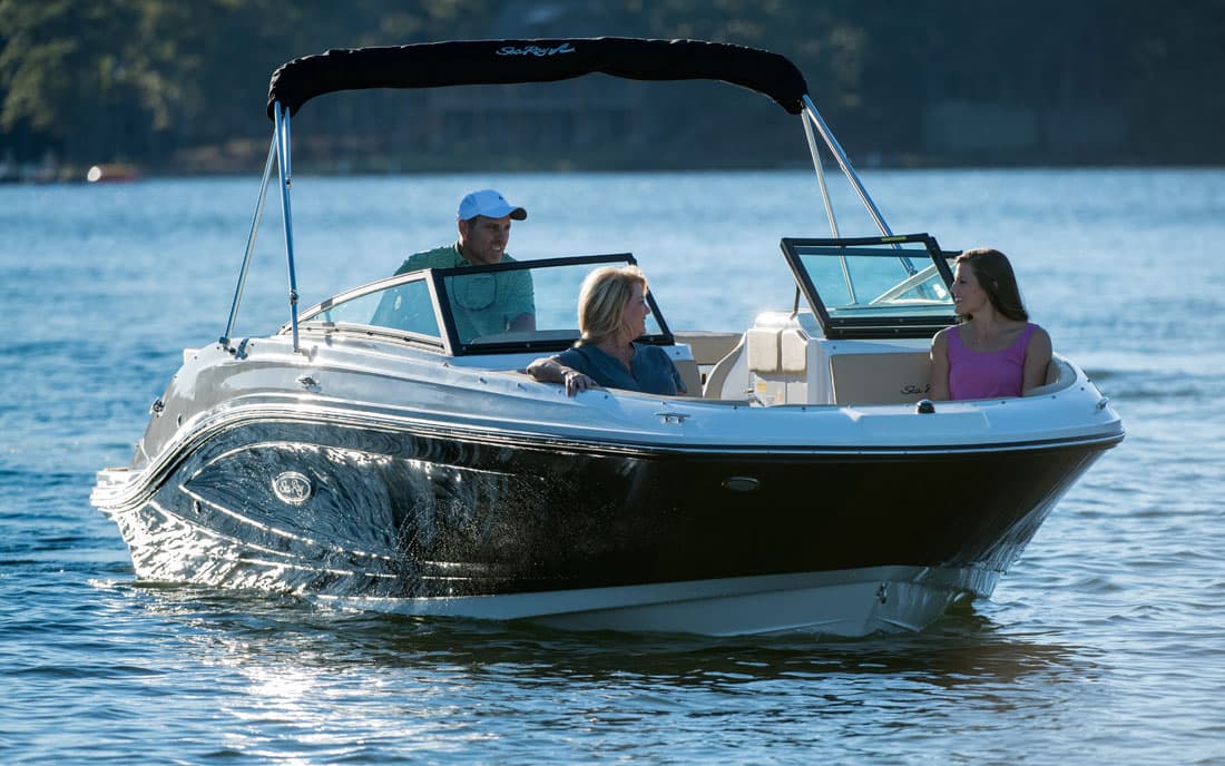 Sea Ray  230 SPX фото 1.5