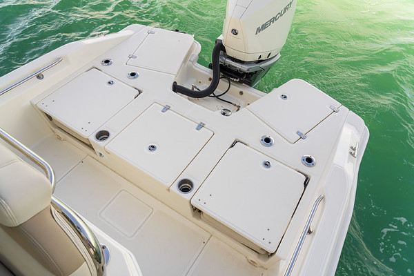 Boston Whaler 250 Dauntless фото 1.4