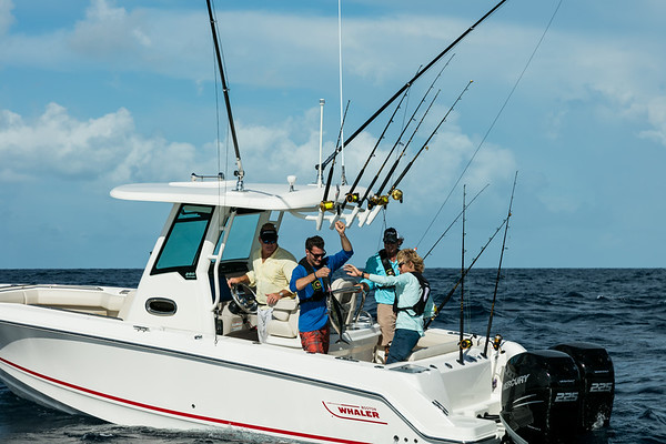 Boston Whaler 250 Outrage фото 2.4