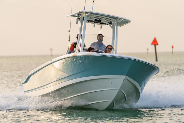 Boston Whaler 250 Dauntless фото 1.2