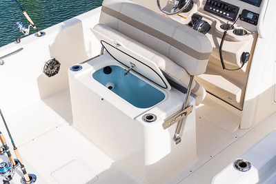 Boston Whaler 220 Dauntless фото 1.4