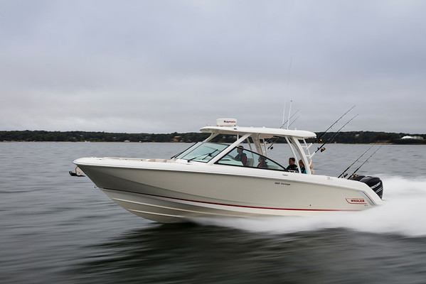 Boston Whaler 320 Vantage фото 1.1