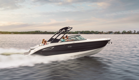 Sea Ray SDX 270