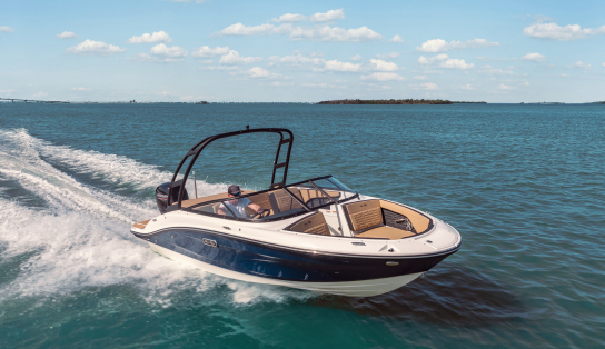 Sea Ray 190 SPX OB (Outboard)