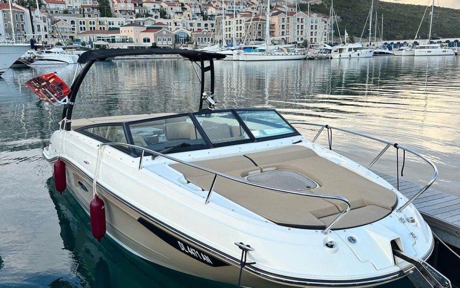 Sea Ray 230 SunSport - 2021 фото 1.2
