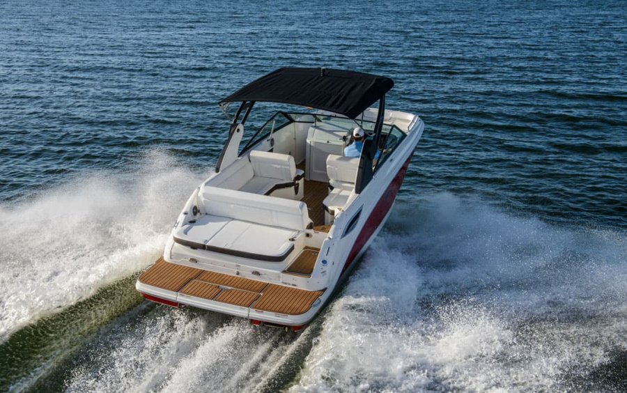 Sea Ray SDX 250 фото 1.5